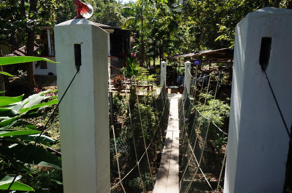 Han Rainforest Resort Kuala Tahan Εξωτερικό φωτογραφία